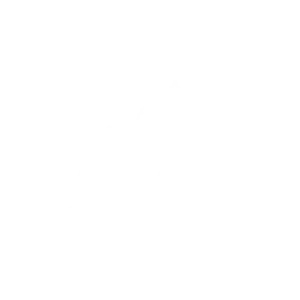 Kundenlogo von Ziesenhenne