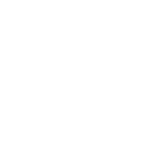 Kundenlogo von Gusswerk
