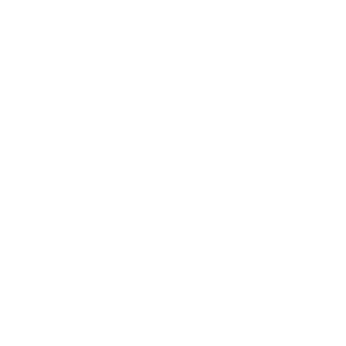 Kundenlogo von Stemmer