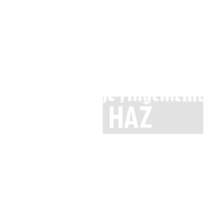 HAZ 2 von KNDR